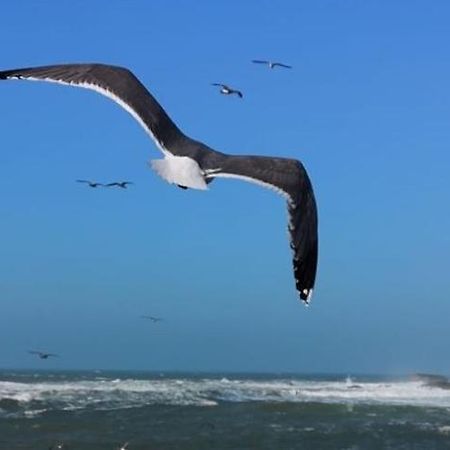 Villa L'Oiseau Bleu Essaouira Luaran gambar