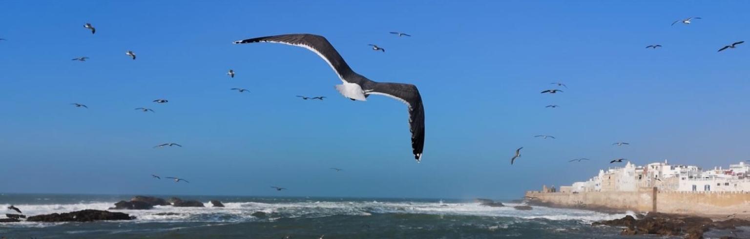Villa L'Oiseau Bleu Essaouira Luaran gambar